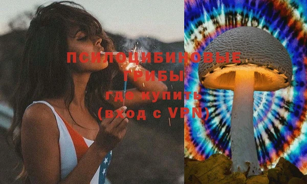 спайс Белокуриха