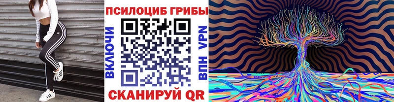 Псилоцибиновые грибы прущие грибы  Энем 